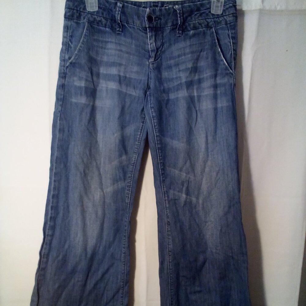 American Eagle Outfitters Blue Flare Jeans
